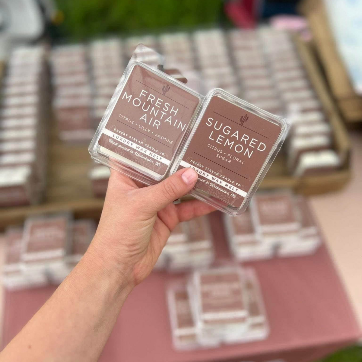 Desert Stream Wax Melts